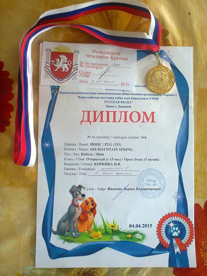  Асса.jpg